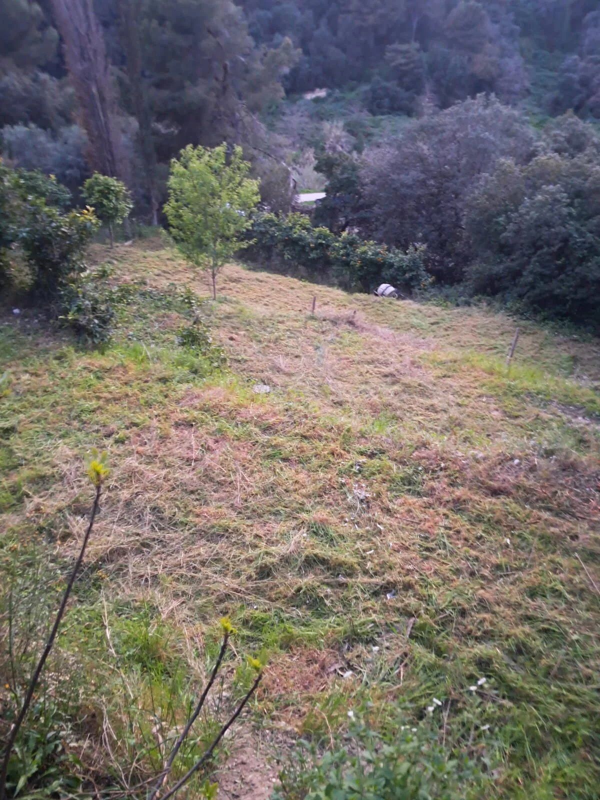 Photo Terrain Nice
