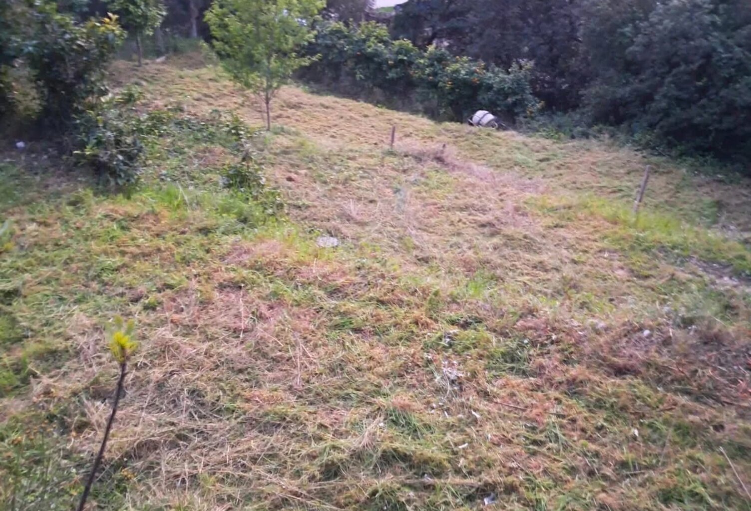 NICE - SAINT PANCRACE- TERRAIN — photo 1