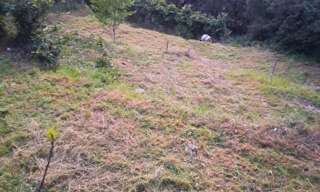 Terrain  1002 m² à vendre à Nice (06100)