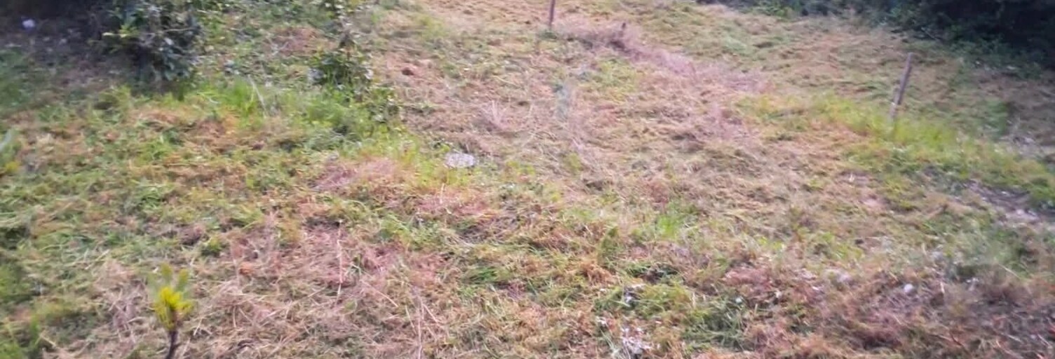 Terrain  1002 m² à vendre à Nice (06100)