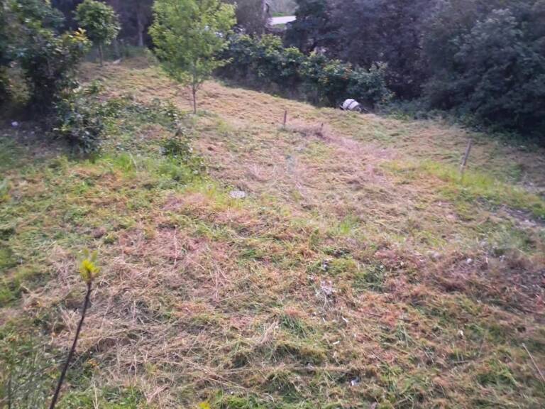 NICE - SAINT PANCRACE- TERRAIN — photo 1