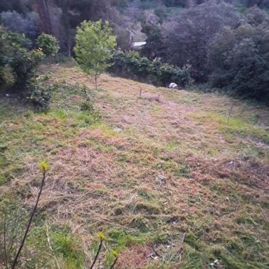Terrain  330000 €