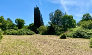 Photo N° 4