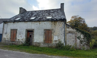 Photo N° 5