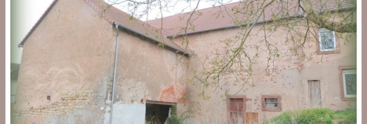 Immeuble  429 m² à vendre à Rohrbach-lès-Bitche (57410)