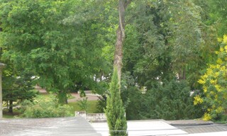 Photo N° 3