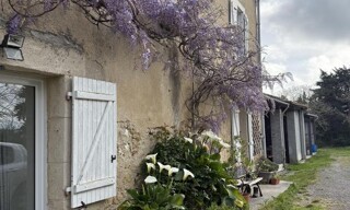 Photo N° 4