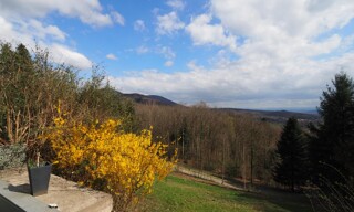Photo N° 6