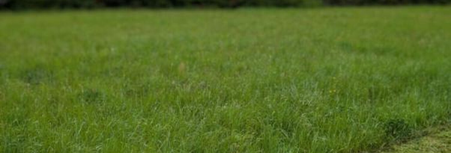 Terrain  900 m² à vendre à Lacrouzette (81210)