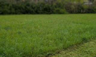 Terrain  900 m² à vendre à Lacrouzette (81210)