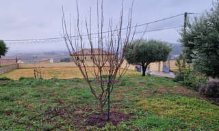 Terrain  480 m² à vendre à Péret (34800)