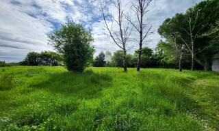 Terrain  1606 m² à vendre à Vérines (17540)