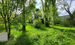 Photo N° 4