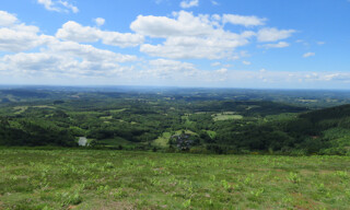 Photo N° 4