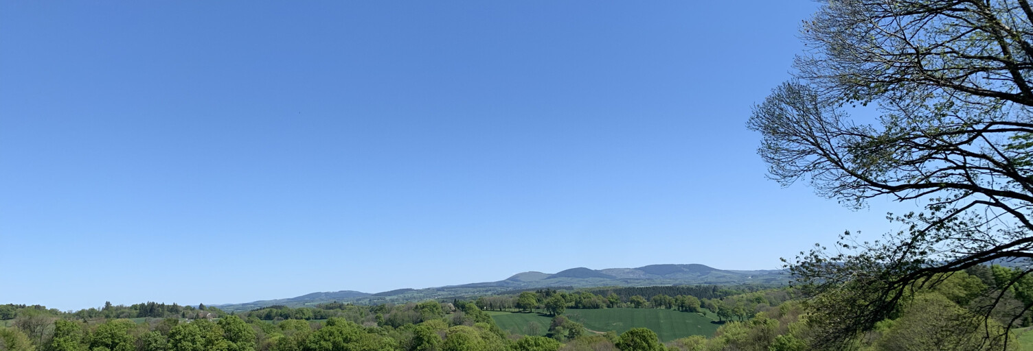 Terrain  2754 m² à vendre à Seilhac (19700)