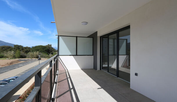 Appartement 3 pièces  à louer Lucciana 20290