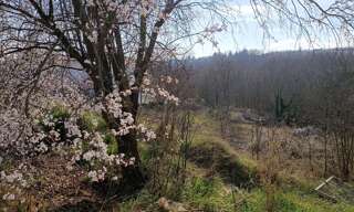 Terrain  1809 m² à vendre à Lavilledieu (07170)