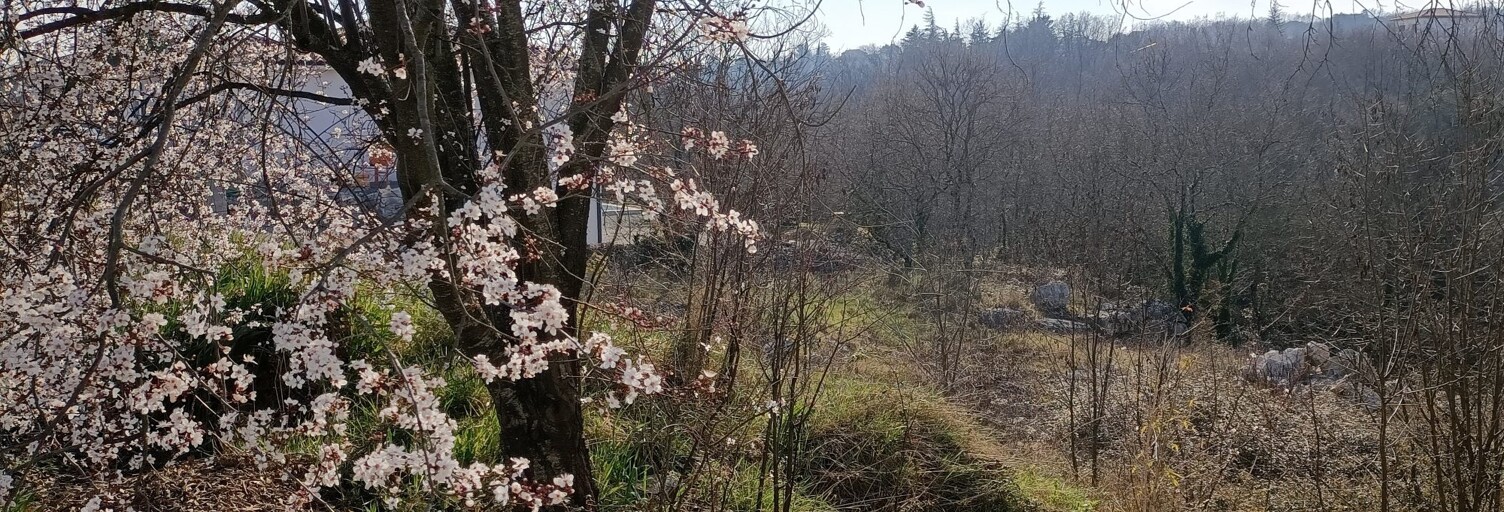 Terrain  1809 m² à vendre à Lavilledieu (07170)