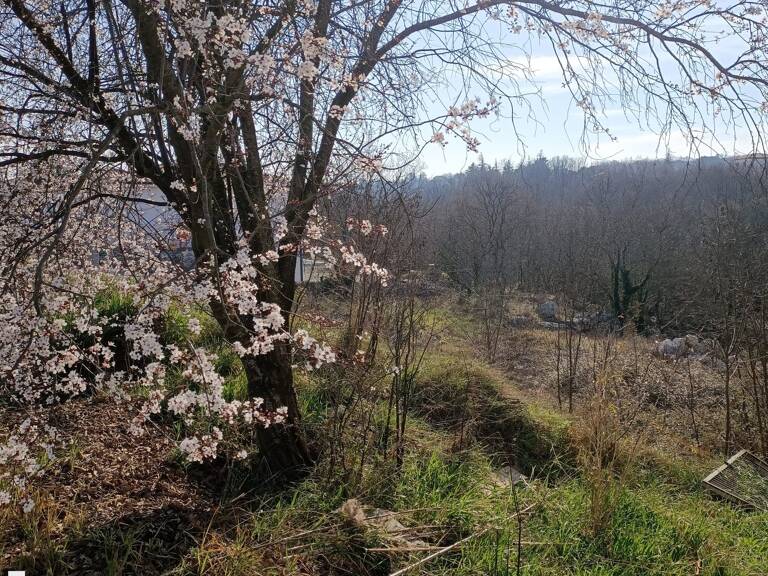 Beau terrain avec tres belle vue — photo 1