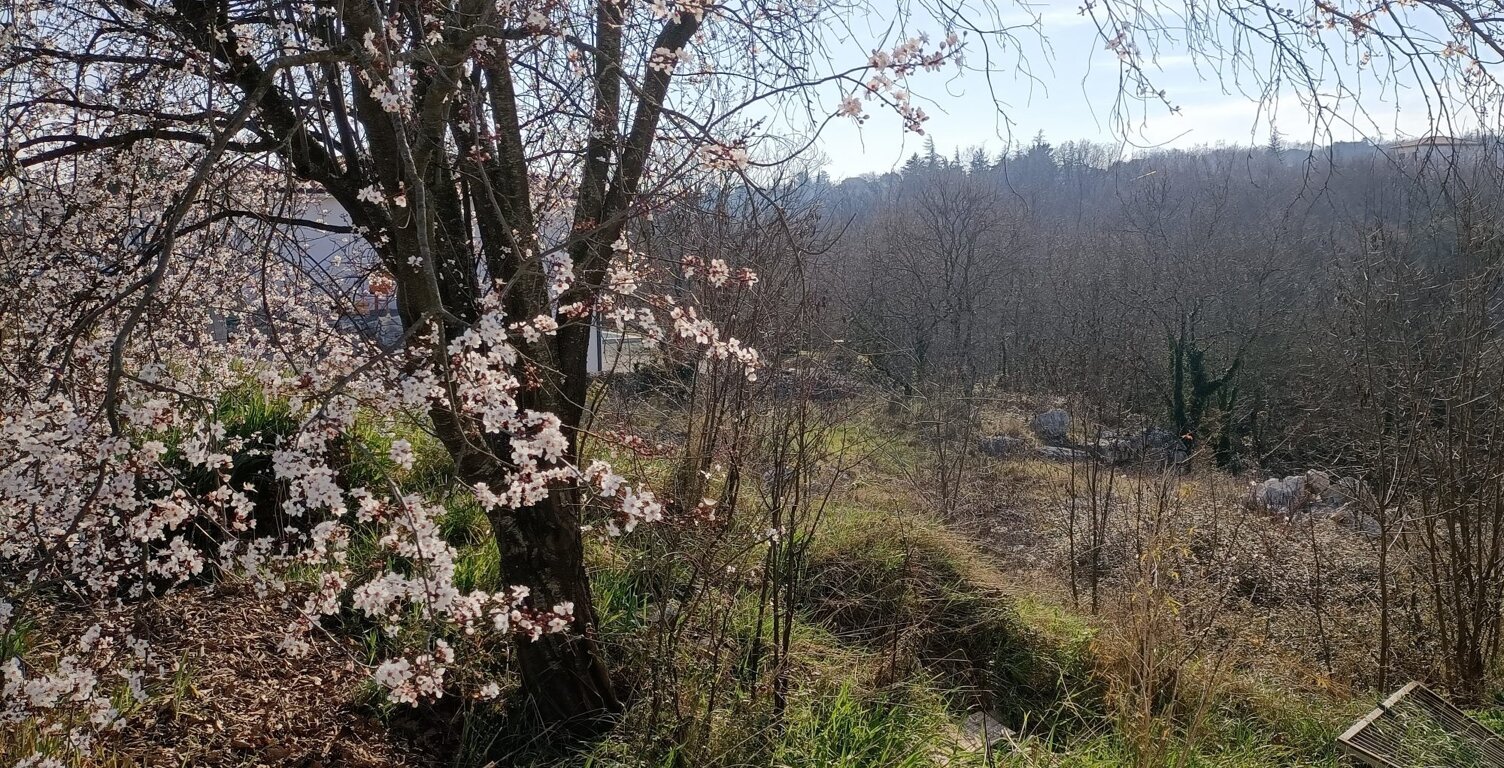 Beau terrain avec tres belle vue — photo 1