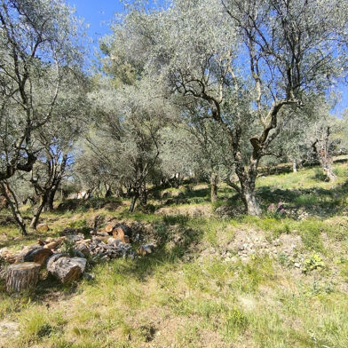 Terrain  210000 €