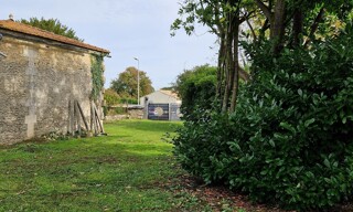 Photo N° 3