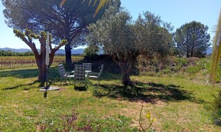 Photo N° 3