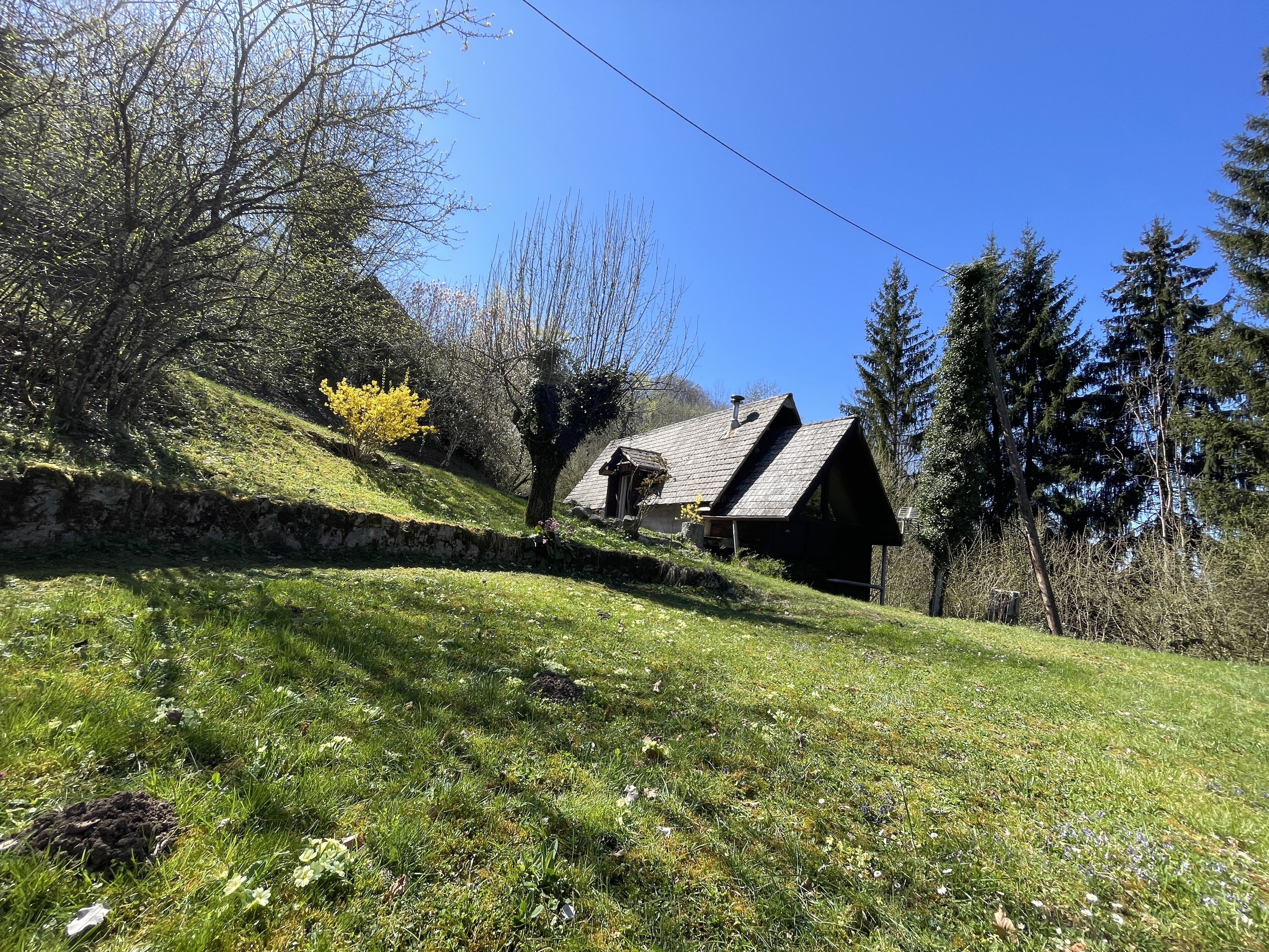 Maison annecy le vieux