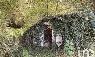 Photo N° 4