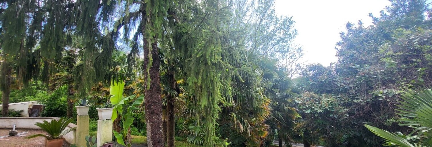 Maison 6 Pièces 153 m² à vendre à Coulonges-sur-l'Autize (79160)