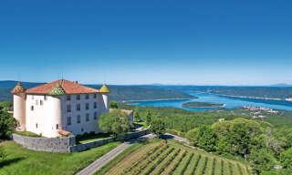 Maison 35 Pièces 1039 m² à vendre à Cannes (06150)