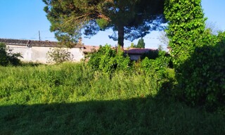 Terrain  800 m² à vendre à Portets (33640)