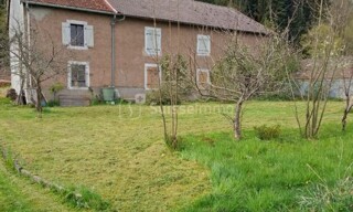 Photo N° 4