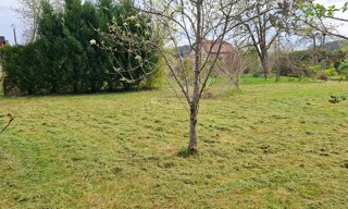 Photo N° 4