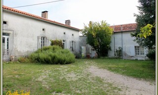 Photo N° 4