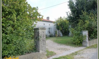 Photo N° 8