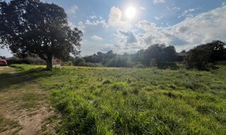 Terrain  1490 m² à vendre à Aléria (20270)