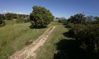 Terrain  1490 m² à vendre à Aléria (20270)