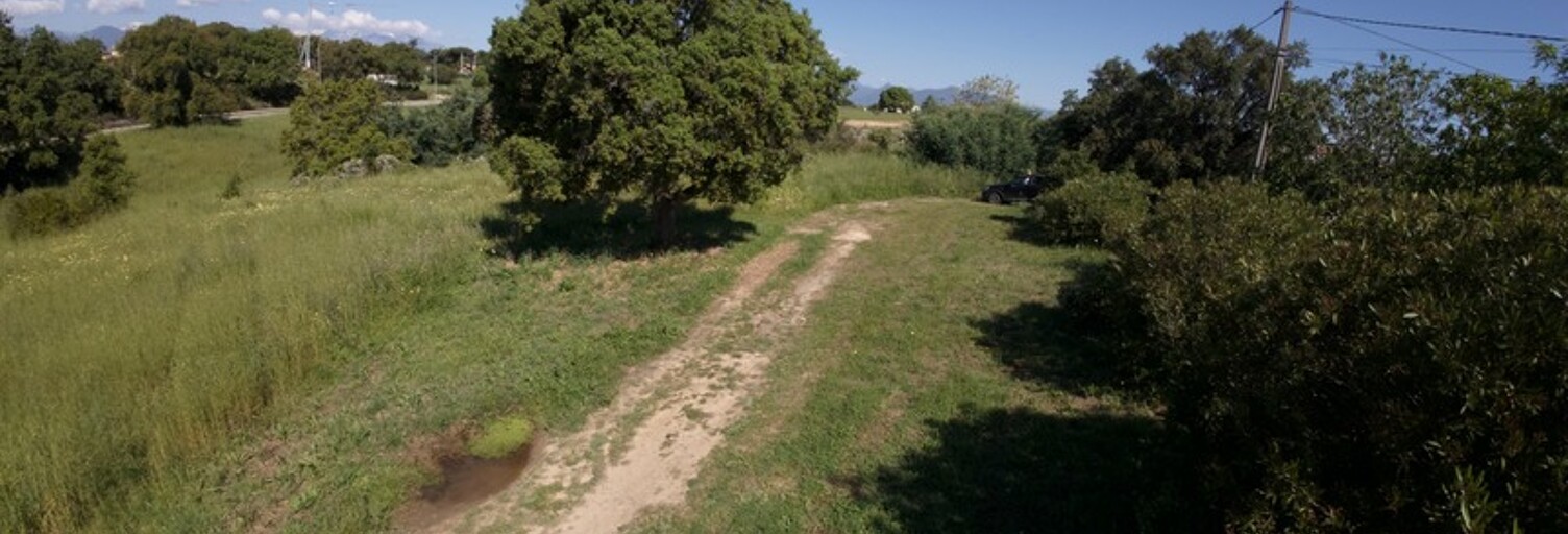 Terrain  1490 m² à vendre à Aléria (20270)