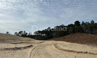 Photo N° 6