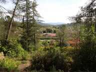 A vendre une villa sur un beau terrain boisé avec une source — photo 2