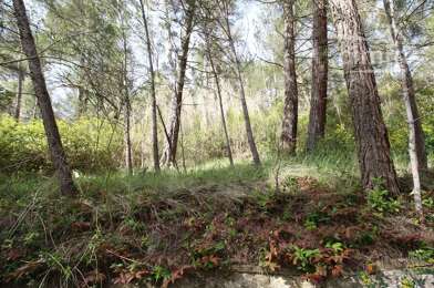 Maison 3 pièces 220000 €