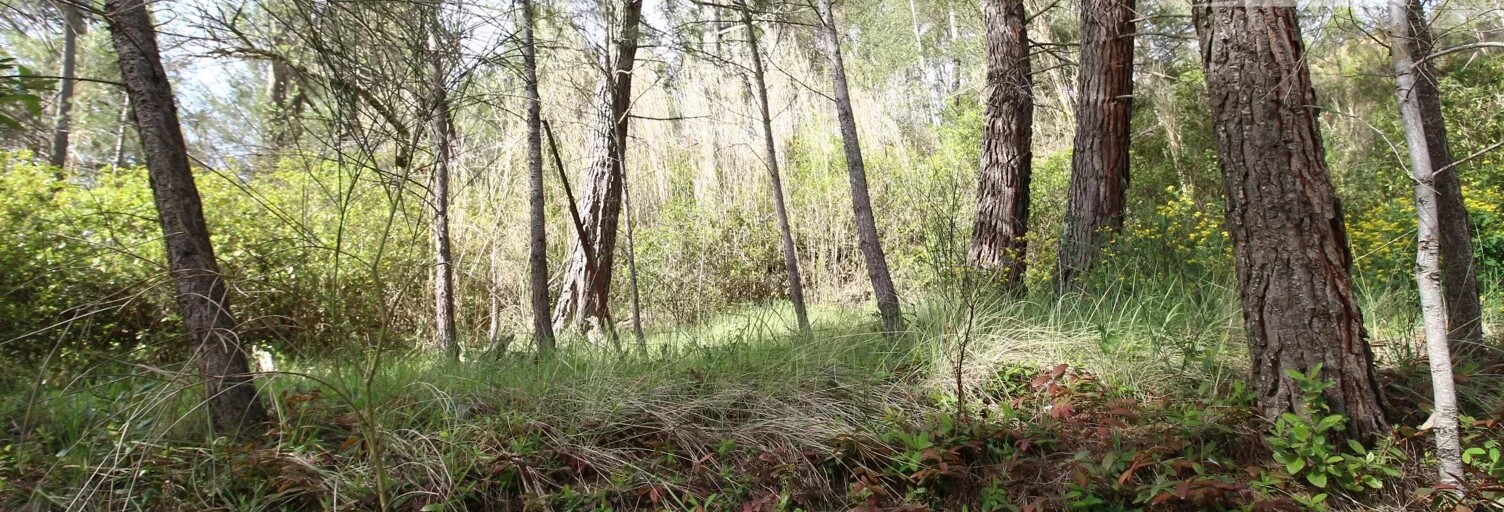 Maison 3 Pièces 83 m² à vendre à Espéraza (11260)