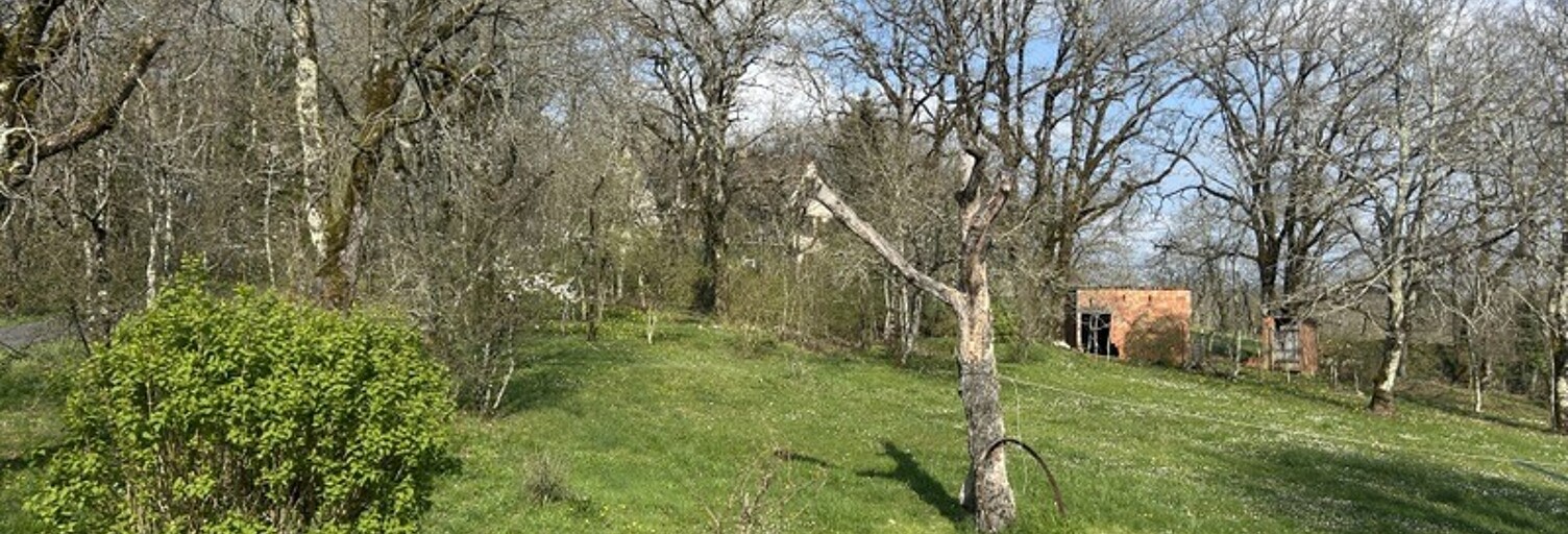 Maison 6 Pièces 185 m² à vendre à Beaulieu-sur-Dordogne (19120)