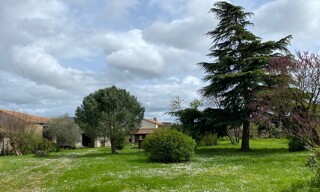 Photo N° 4