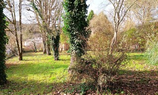 Photo N° 4