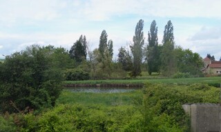 Photo N° 4