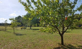 Photo N° 14