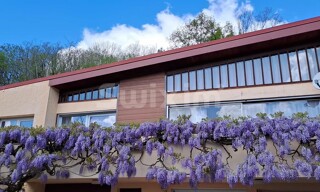 Maison 7 Pièces 136 m² à vendre à Lons-le-Saunier (39000)