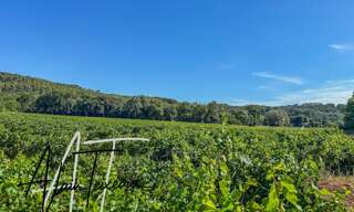 Terrain  33300 m² à vendre à Le Thoronet (83340)